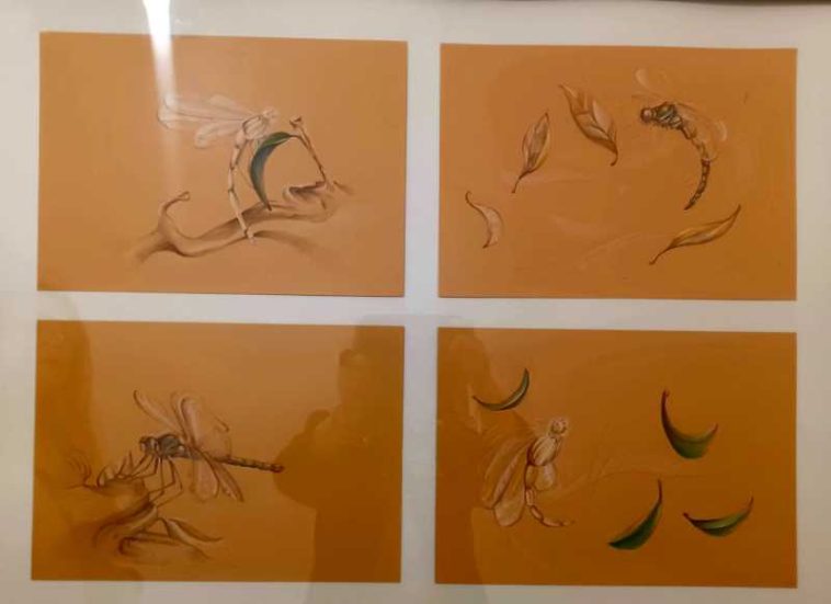 Timiș: Lumea insectelor, transpusă grafic de studenți, în lucrări expuse la MNArT