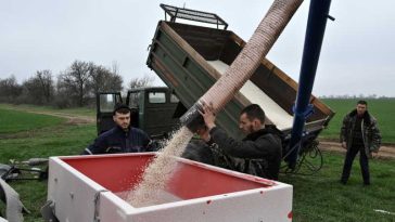 România, campioană în UE la creșterea prețurilor la îngrășăminte la finalul anului trecut