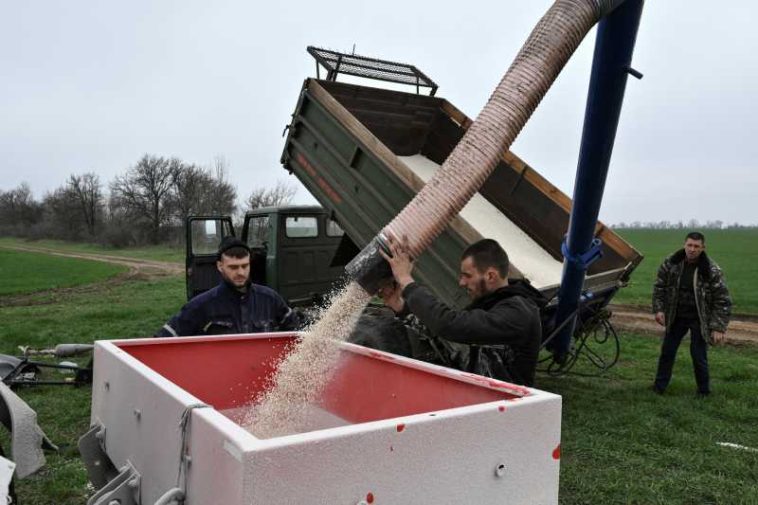 România, campioană în UE la creșterea prețurilor la îngrășăminte la finalul anului trecut