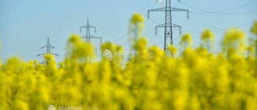 Elisei (Ministerul Energiei): Cred că 2035 este mult mai fezabil în a ne atinge angajamentele de decarbonizare stabilite pentru 2030