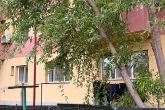 Vaslui: Arbore doborât de vânt în municipiul Bârlad; pompierii au intervenit pentru îndepărtarea acestuia