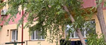 Vaslui: Arbore doborât de vânt în municipiul Bârlad; pompierii au intervenit pentru îndepărtarea acestuia