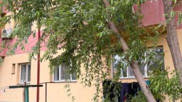 Vaslui: Arbore doborât de vânt în municipiul Bârlad; pompierii au intervenit pentru îndepărtarea acestuia
