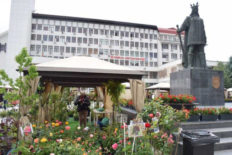 REPORTAJ Vaslui: Explozie de culoare la ediția aniversară a târgului Serbarea Florilor, care reunește 36 de producători