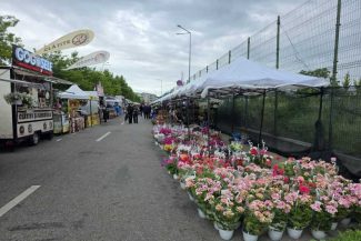Olt: Târg de flori, street food și spectacole la Slatina Garden Fest, în acest weekend în municipiu