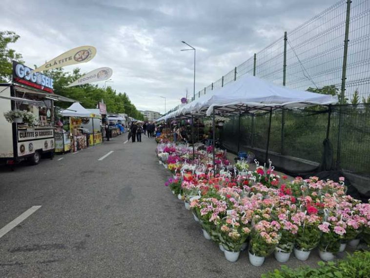 Olt: Târg de flori, street food și spectacole la Slatina Garden Fest, în acest weekend în municipiu