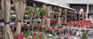 Antifraudă: Amenzi de peste 2,6 milioane lei pe piața florilor și plantelor ornamentale, în februarie-martie 2026