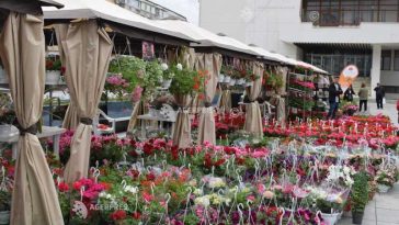 Antifraudă: Amenzi de peste 2,6 milioane lei pe piața florilor și plantelor ornamentale, în februarie-martie 2026