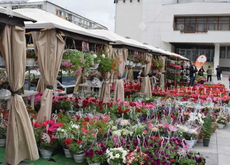 Antifraudă: Amenzi de peste 2,6 milioane lei pe piața florilor și plantelor ornamentale, în februarie-martie 2026