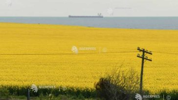 Ritmuri normale de creștere și dezvoltare la culturile de câmp și la speciile pomi-viticole pe aproape întreg teritoriul agricol (agrometeo)
