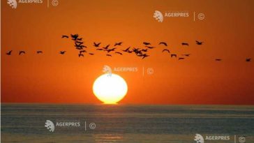 EFEMERIDE ASTRONOMICE – 25 mai