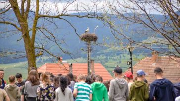 Harghita: Peste 60 de elevi din Sântimbru au participat la recensământul cuiburilor de barză în cadrul proiectului ‘Cuibul Zburător’