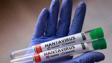 Hantavirus/ Unul dintre spaniolii plasați în carantină la Madrid, testat pozitiv