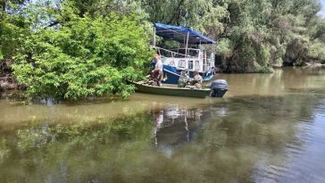 Tulcea: Acțiuni de ecologizare în Delta Dunării