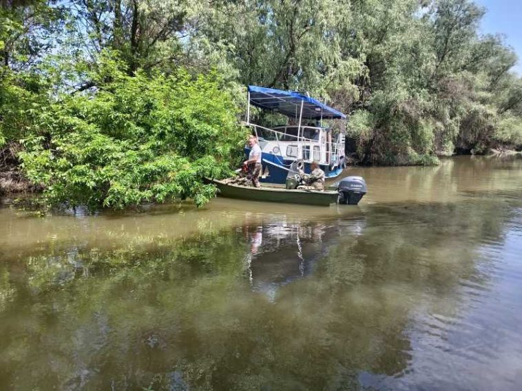 Tulcea: Acțiuni de ecologizare în Delta Dunării