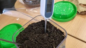 Vâlcea: Elevi de la două licee din Râmnic au dezvoltat un sistem de transformare inteligentă a deșeurilor în resursă ecologică