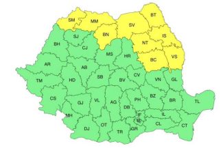 Cod galben de vijelii în Maramureș, nordul Transilvaniei și cea mai mare parte a Moldovei