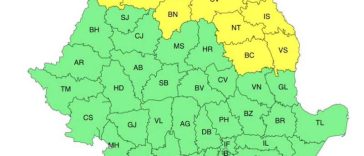 Cod galben de vijelii în Maramureș, nordul Transilvaniei și cea mai mare parte a Moldovei