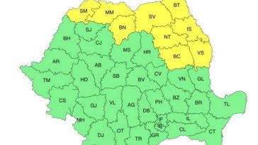 Cod galben de vijelii în Maramureș, nordul Transilvaniei și cea mai mare parte a Moldovei