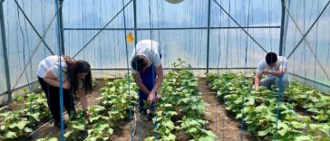 Brăila: Elevii Liceului ‘Gh. Constantinescu’ învață agricultura viitorului cu drone, senzori și sere digitalizate (GALERIE FOTO/VIDEO)