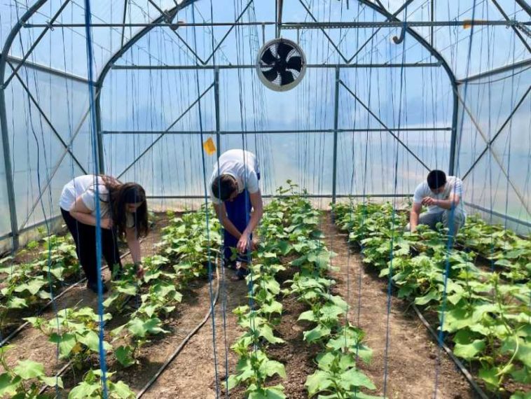 Brăila: Elevii Liceului ‘Gh. Constantinescu’ învață agricultura viitorului cu drone, senzori și sere digitalizate (GALERIE FOTO/VIDEO)