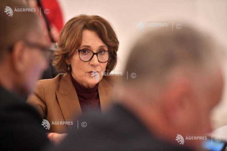 Nicoleta Pauliuc: Înființarea unui patronat al industriei private de apărare reprezintă un semn de maturitate