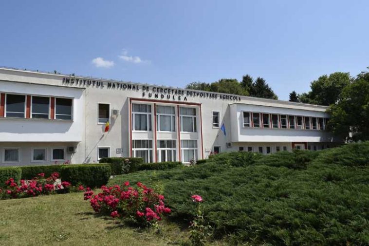 Cererea pentru soiurile de lucernă de la Institutul de Cercetare Fundulea depășește producția de sămânță (cercetător)