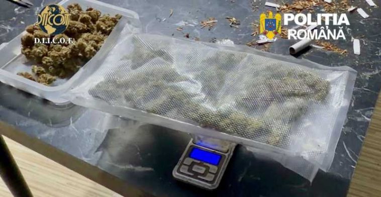 Bacău: Două persoane au fost reținute pentru trafic de droguri de risc și mare risc (GALERIE FOTO)