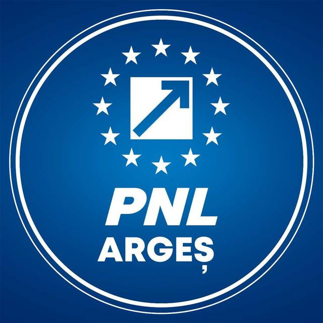 Revocarea din funcţie a vicepreşedintelui CJ Argeş, trimis în judecată pentru corupţie, blocată de PSD/ PNL anunţă că va continua demersurile