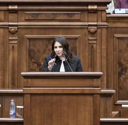 Gabriela Horga (PNL): PSD tergiversează discutarea în Senat a proiectului de lege privind interdicţia cumulului pensiei speciale cu salariul la stat