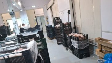 Nereguli grave descoperite de Garda de Mediu la o firmă de procesare a cărnii de pasăre din Galaţi / A fost dispusă oprirea activităţii – FOTO