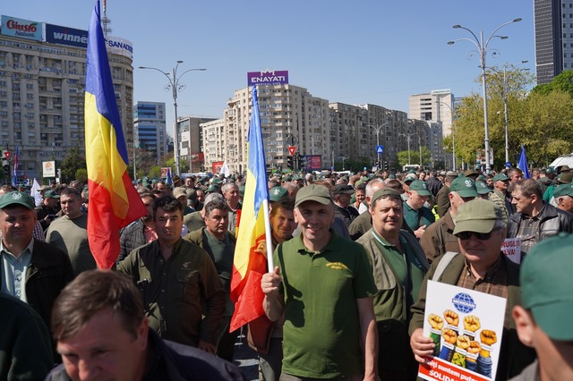 Ministrul Mediului anunţă că Hotărârea de Guvern privind reorganizarea Romsilva nu se suspendă, o decizie în acest sens fiind obţinută în primă instanţă  / Federaţia Silva anunţă că va continua demersurile