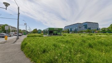 Primăria Bucureşti: Cerem Guvernului să ne dea în administrare 34 de terenuri / Este un maidan, generează praf şi poluare! Zona are nevoie de vegetaţie, umbră şi locuri destinate pietonilor