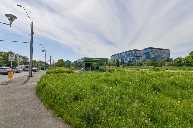 Primăria Bucureşti: Cerem Guvernului să ne dea în administrare 34 de terenuri / Este un maidan, generează praf şi poluare! Zona are nevoie de vegetaţie, umbră şi locuri destinate pietonilor