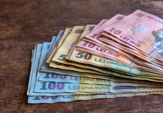 Federaţia Sindicatelor APIA: Intenţia de a permite ordonatorilor de credite să revizuiască lunar majorarea salarială de până la 40% acordată personalului care gestionează fonduri europene este o măsură nejustificată, abuzivă şi extrem de periculoasă