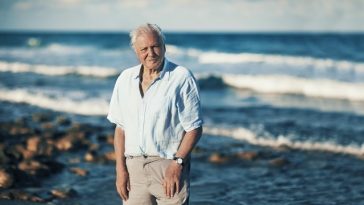 Sir David Attenborough împlineşte 100 de ani – BBC Earth va difuza în premieră documentarul „Wild London”