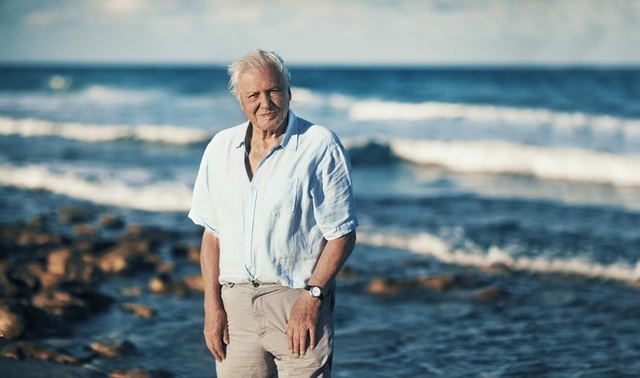 Sir David Attenborough împlineşte 100 de ani – BBC Earth va difuza în premieră documentarul „Wild London”