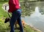 Dosar penal deschis de poliţiştii din Bucureşti, după ce un bărbat ar fi încercat să-şi înece câinele în Parcul Tineretului / Animalul nu ar fi fost lăsat să iasă din apă până când au intervenit martorii / Câinele, preluat de ASPA Bucureşti – VIDEO