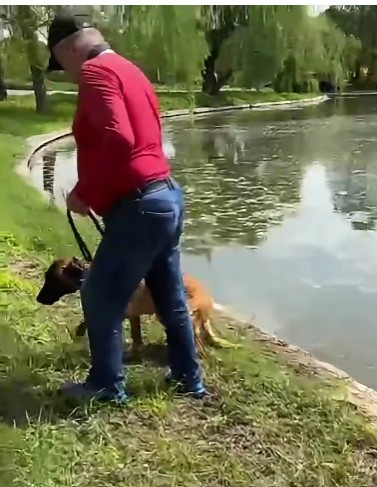 Dosar penal deschis de poliţiştii din Bucureşti, după ce un bărbat ar fi încercat să-şi înece câinele în Parcul Tineretului / Animalul nu ar fi fost lăsat să iasă din apă până când au intervenit martorii / Câinele, preluat de ASPA Bucureşti – VIDEO