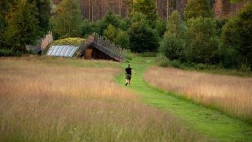 România va avea, în premieră, un plan de restaurare a naturii, pentru însănătoşirea ecosistemelor de economie, agricultură, apă şi climă. Scopul final, sănătatea oamenilor/ Fonduri europene de 17 milioane de lei