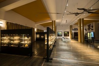 Muzeul Pădurii, cu o colecţie de 1.300 de exponate, a fost deschis la Râşnov – FOTO