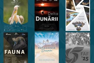 Spectacolul naturii se dezvăluie la Braşov în expoziţiile de fotografie de la LYNX festival