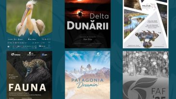 Spectacolul naturii se dezvăluie la Braşov în expoziţiile de fotografie de la LYNX festival