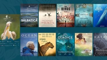 LYNX festival, din 1 iunie – Zece filme documentare, cinci expoziţii, trei masterclass-uri, cinci ateliere pentru copii