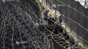 Handbal masculin: CS Dinamo București a achiziționat un portar suedez