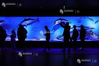 Noaptea Muzeelor 2026 la Antipa – vizitare gratuită, activități nocturne și o coadă care spune povești