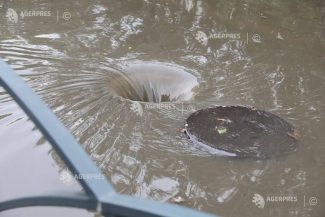 Cod galben de furtuni, ploi torențiale și grindină în 30 de județe, luni și marți