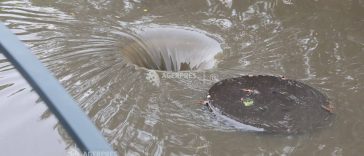Cod galben de furtuni, ploi torențiale și grindină în 30 de județe, luni și marți