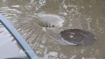 Cod galben de furtuni, ploi torențiale și grindină în 30 de județe, luni și marți