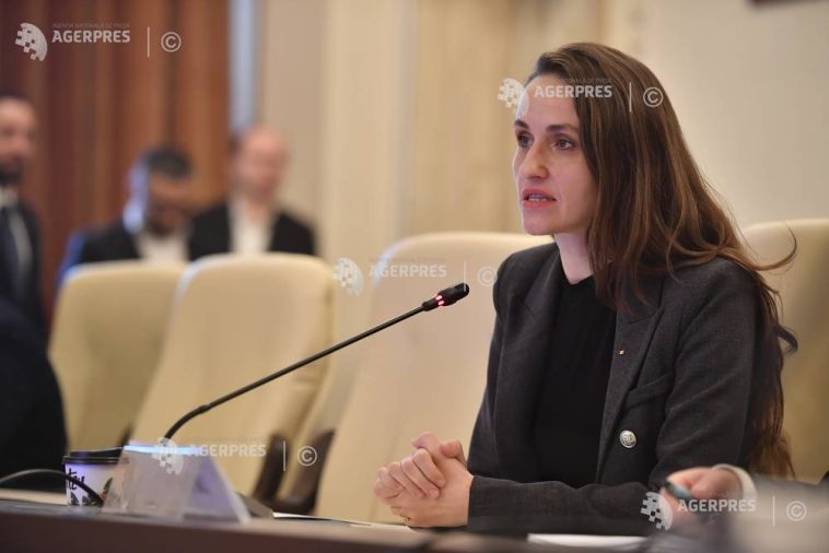 Oana Țoiu, despre incidentele cu drone rusești căzute pe teritoriul României: Am semnalat în Consiliul de Securitate al ONU